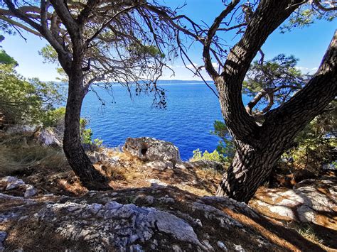 osejava forest park|Forrest Park Osejava, Makarska 